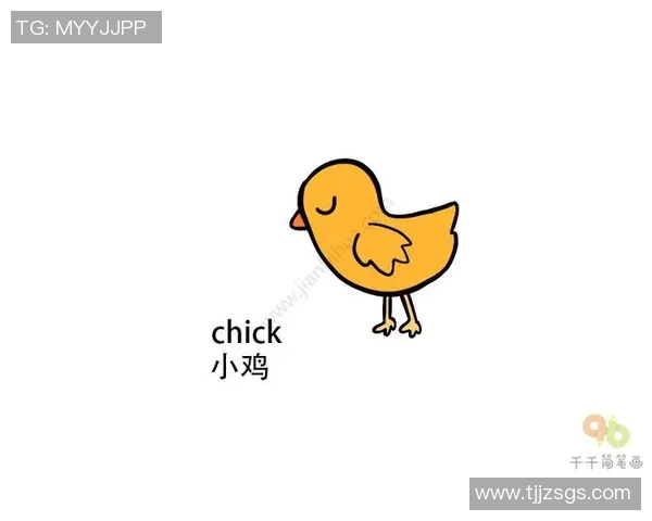 小鸡足球明星名字大全让你了解可爱小鸡的足球世界与精彩故事