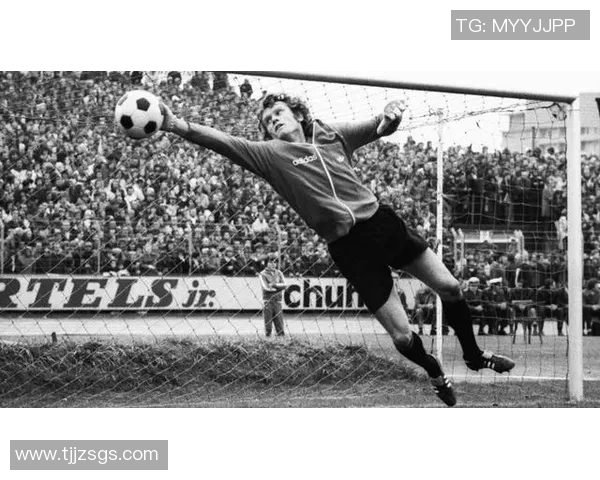 对话王磊：回顾足球生涯中的挑战与成就分享