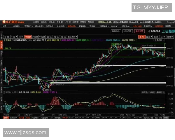 武汉乒乓球队与南京乒乓球队赛后复盘分析比赛节奏与战术对决