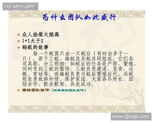 深圳与南京排球队赛后复盘团队协作的成功与不足分析